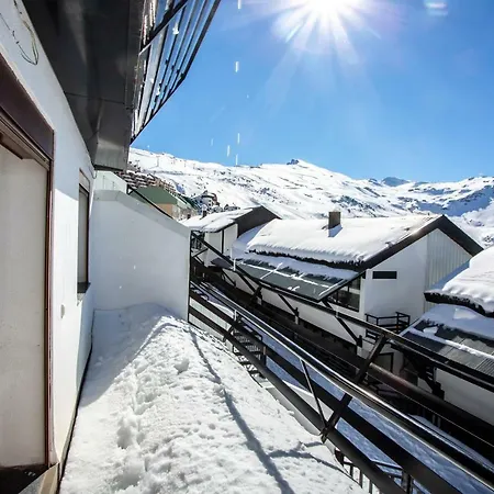 Sunny Apartment